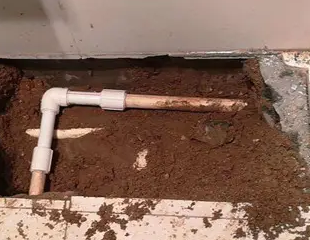 金明测漏水哪家好